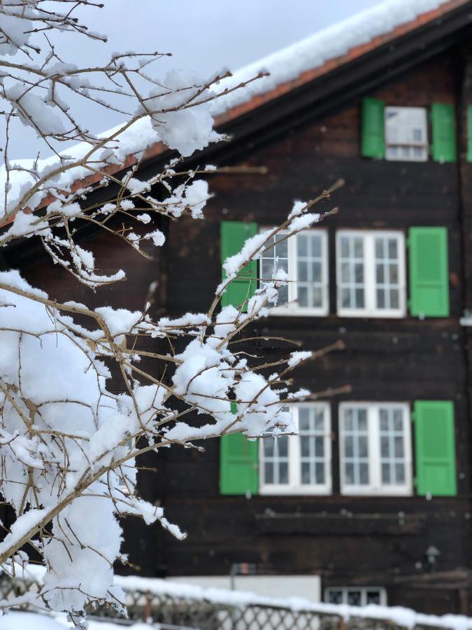 Apartamento Chalet Pironnet With Best Views, Charm And Comfort! Lauterbrunnen Exterior foto