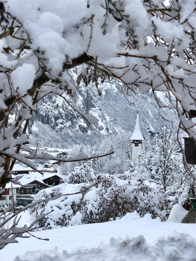 Apartamento Chalet Pironnet With Best Views, Charm And Comfort! Lauterbrunnen Exterior foto