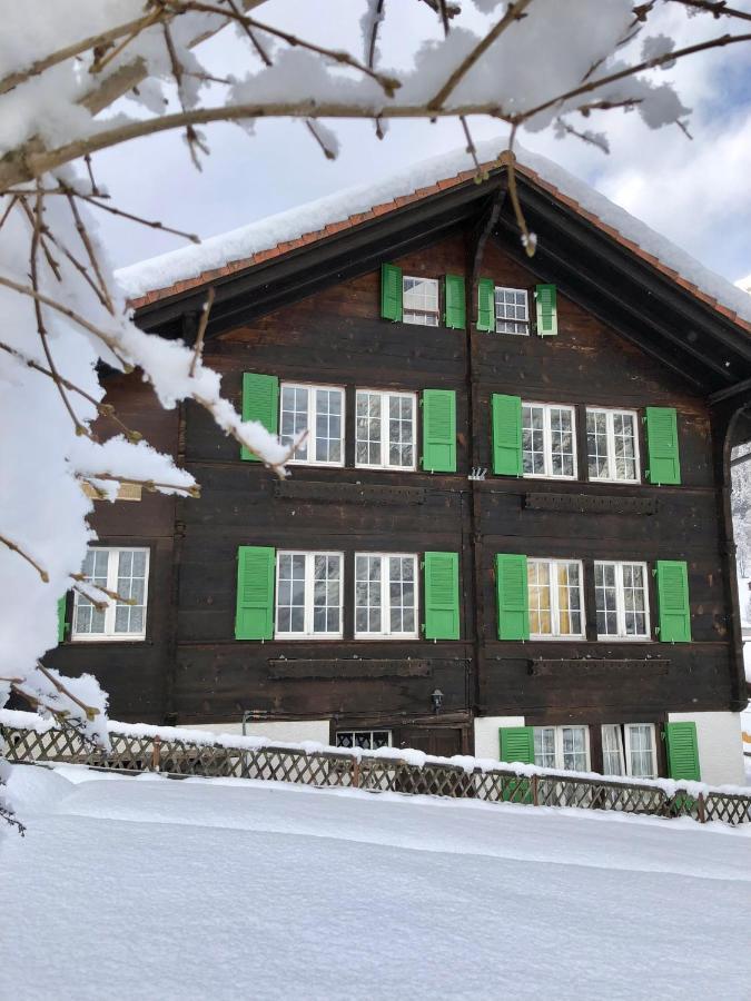 Apartamento Chalet Pironnet With Best Views, Charm And Comfort! Lauterbrunnen Exterior foto